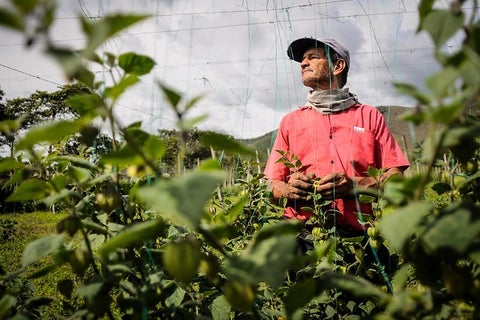 Campesinos-Colprensa.jpg