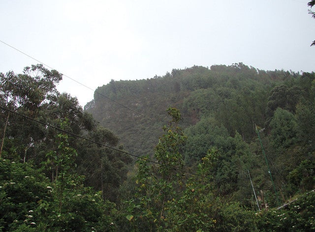 Colp_HF204028.jpg