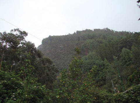 Colp_HF204028.jpg