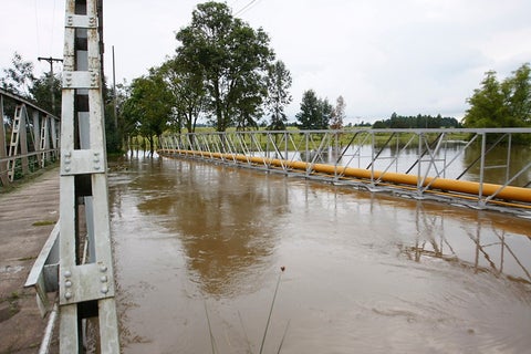 Colp_HF27436.jpg