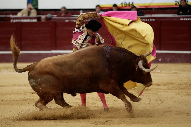 Corridas-de-toros-Colprensa-Juan-Páez.jpg