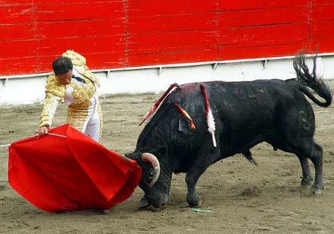 Corridas-de-toros-Colprensa.jpg