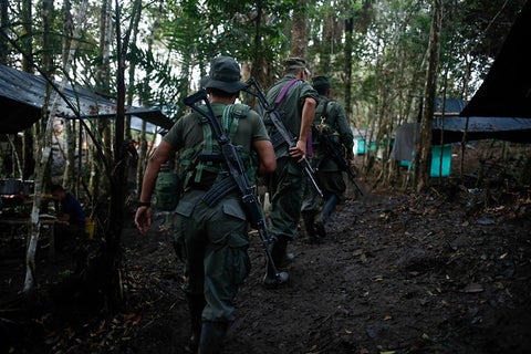 Farc2.jpg