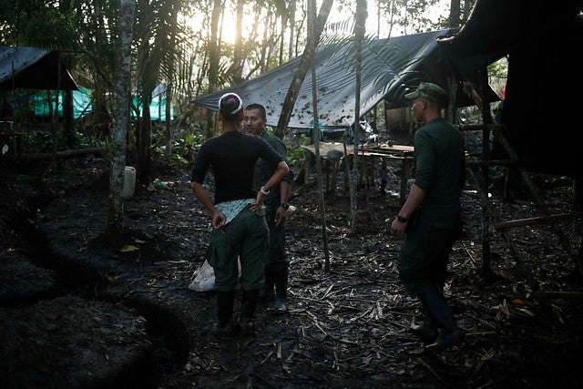 Farc31.jpg