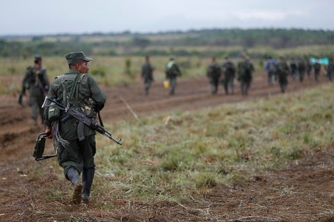 Farc4.jpg