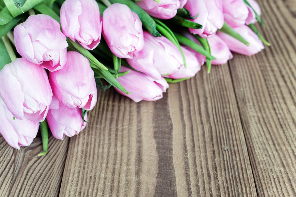 Flores-Ingimage.jpg