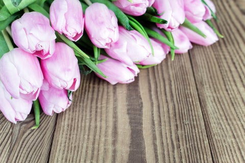 Flores-Ingimage.jpg