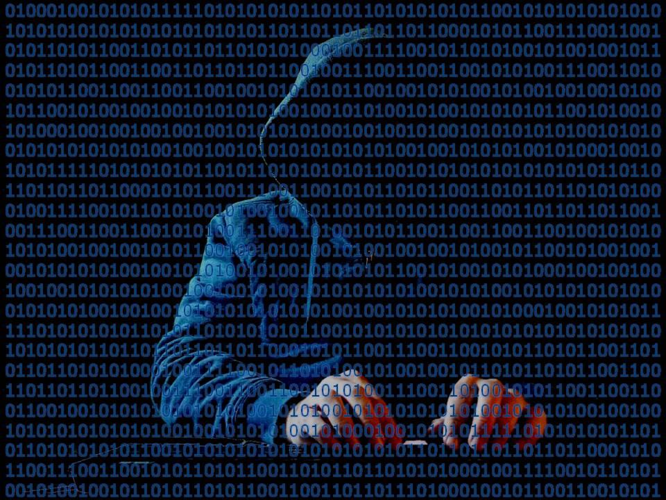 Datos