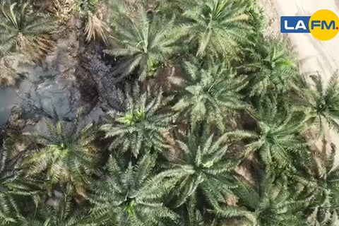 La crisis en el pozo generó una grave crisis ambiental en el país