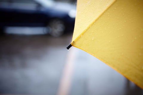 Lluvias-Ingimage.jpg
