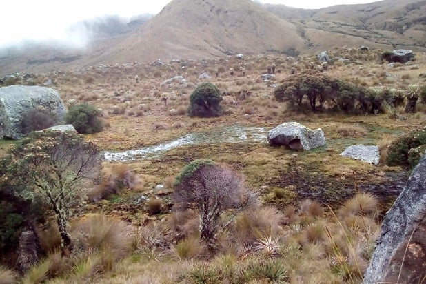 Páramo-el-almorzadero-Norte-de-Santander-Suministrada.jpg