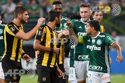 Palmeiras-LA-FM-AFP.jpg