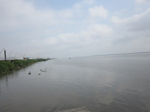Río-Magdalena-Colprensa-1.jpg