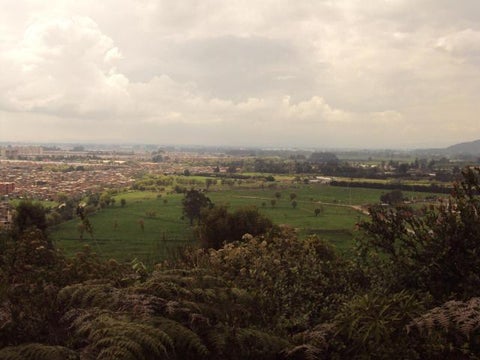 Reserva-Van-der-Hammen-LAFm-humedales-bogota1.jpg