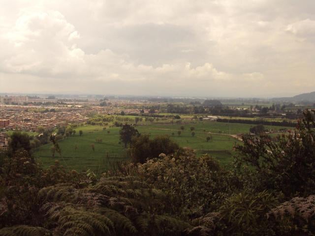 Reserva-Van-der-Hammen-LAFm-humedales-bogota2.jpg