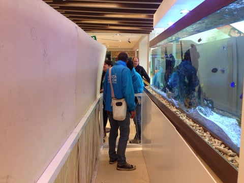 Secretaría-de-Ambiente-LAFM.jpg
