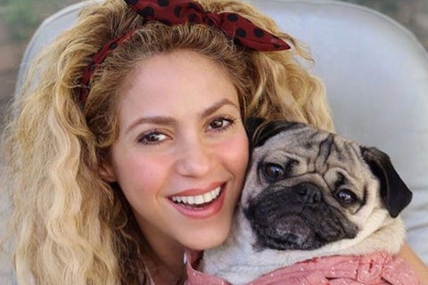 Shakira4.jpg