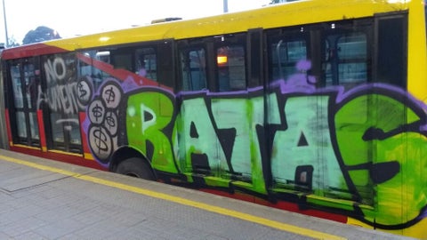 TMGraffiti1.jpg