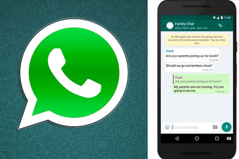 WhatsApp411111.jpg