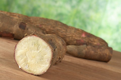 YucaAlimentosRefINGIMAGE.jpg