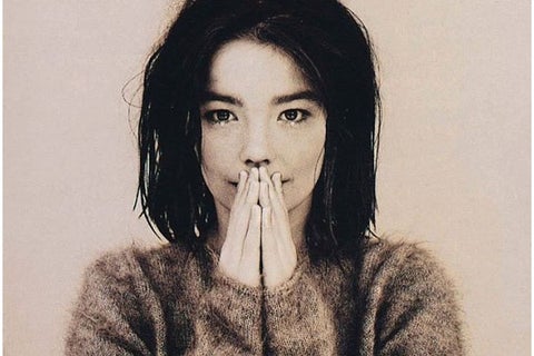 bjork1.jpg