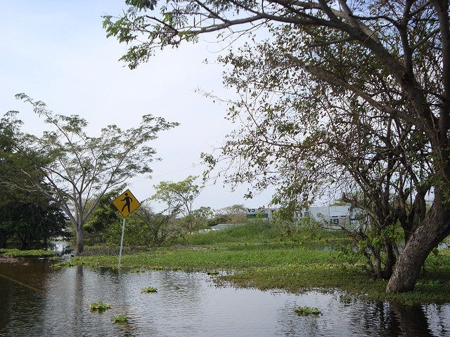 cambio-climatico-y-salud-Universidad-El-Bosque.jpg
