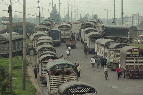 camionesdecargalafm.jpg