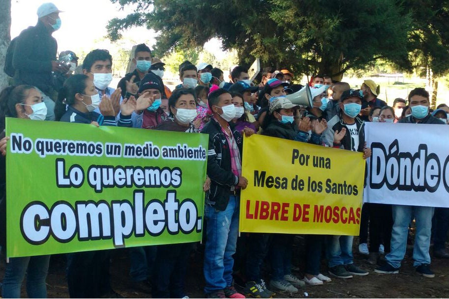 campesinos.jpg