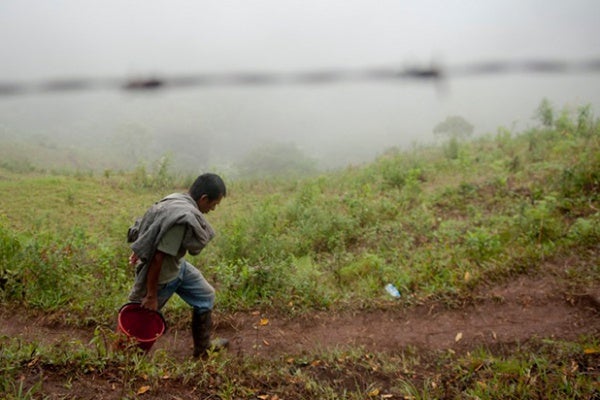 campesinos_afp_1470143387.jpg