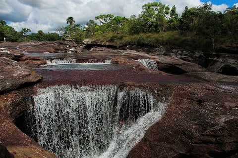 canocristales61.jpg
