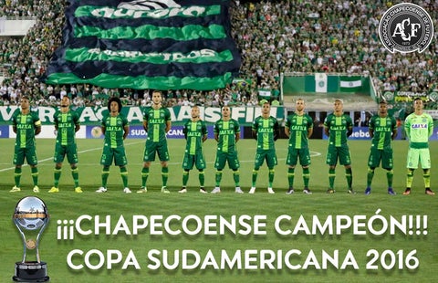 chaoe-campeon-750px.jpg