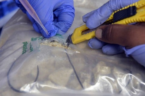 cocaina_afp2-1.jpg