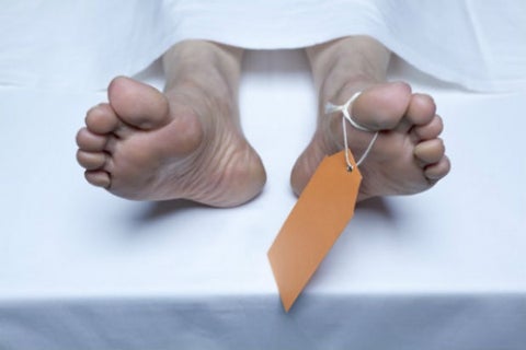 cuerpo-ingimage2.jpg