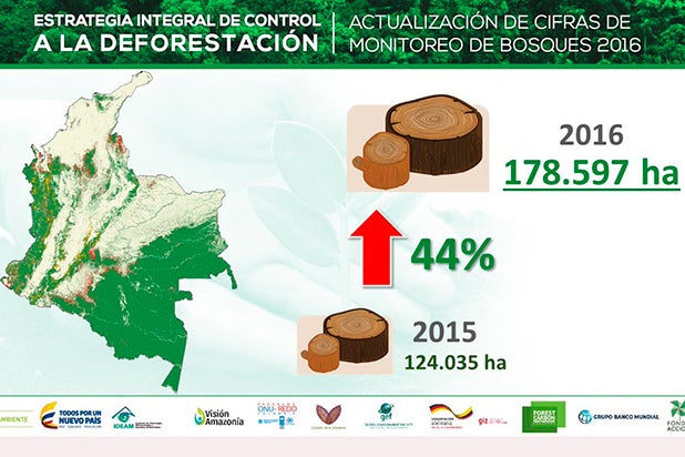 deforestacion.jpg