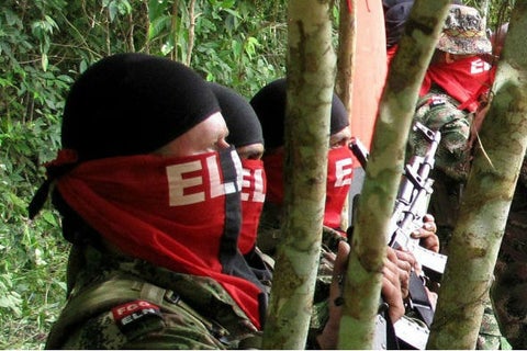 eln-afp22.jpg