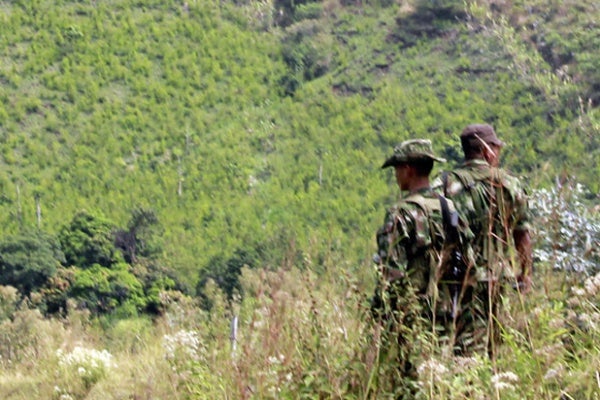 farc-laf_1470159488_1470336461.m_1470159488_1470336461.jpg