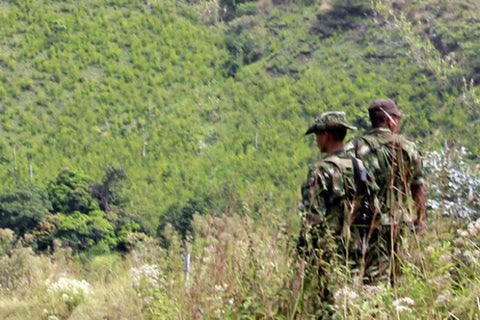 farc-laf_1470159488_1470336461.m_1470159488_1470336461.jpg