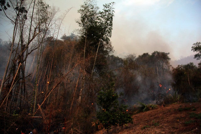 incendiosforestales.jpg