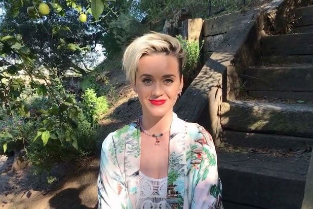 katy.jpg
