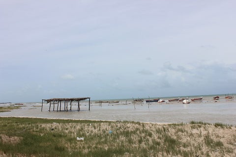 laguajiracolprensa-2.jpg