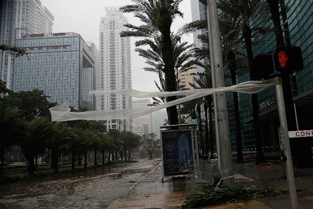 miami1.jpg