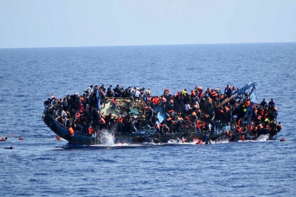 migrancai1_1464537602.jpg