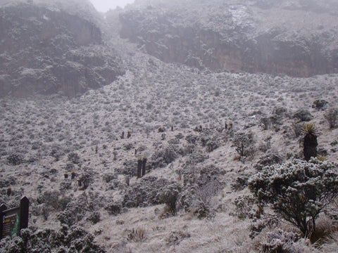 nevado-ruiz-1.jpg