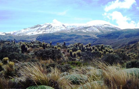 nevado.jpg