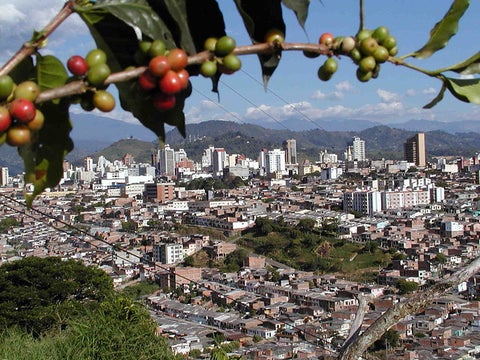 risaralda.jpg