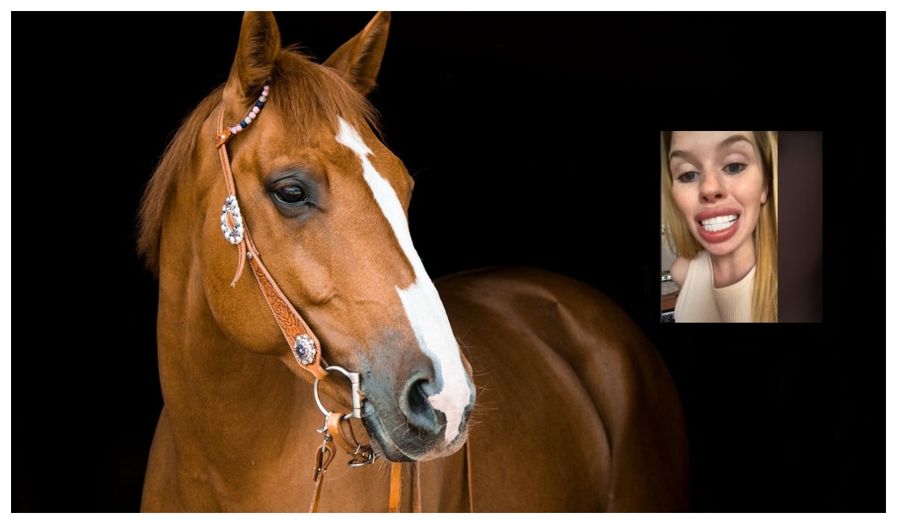 dientes de sonrisa de caballo