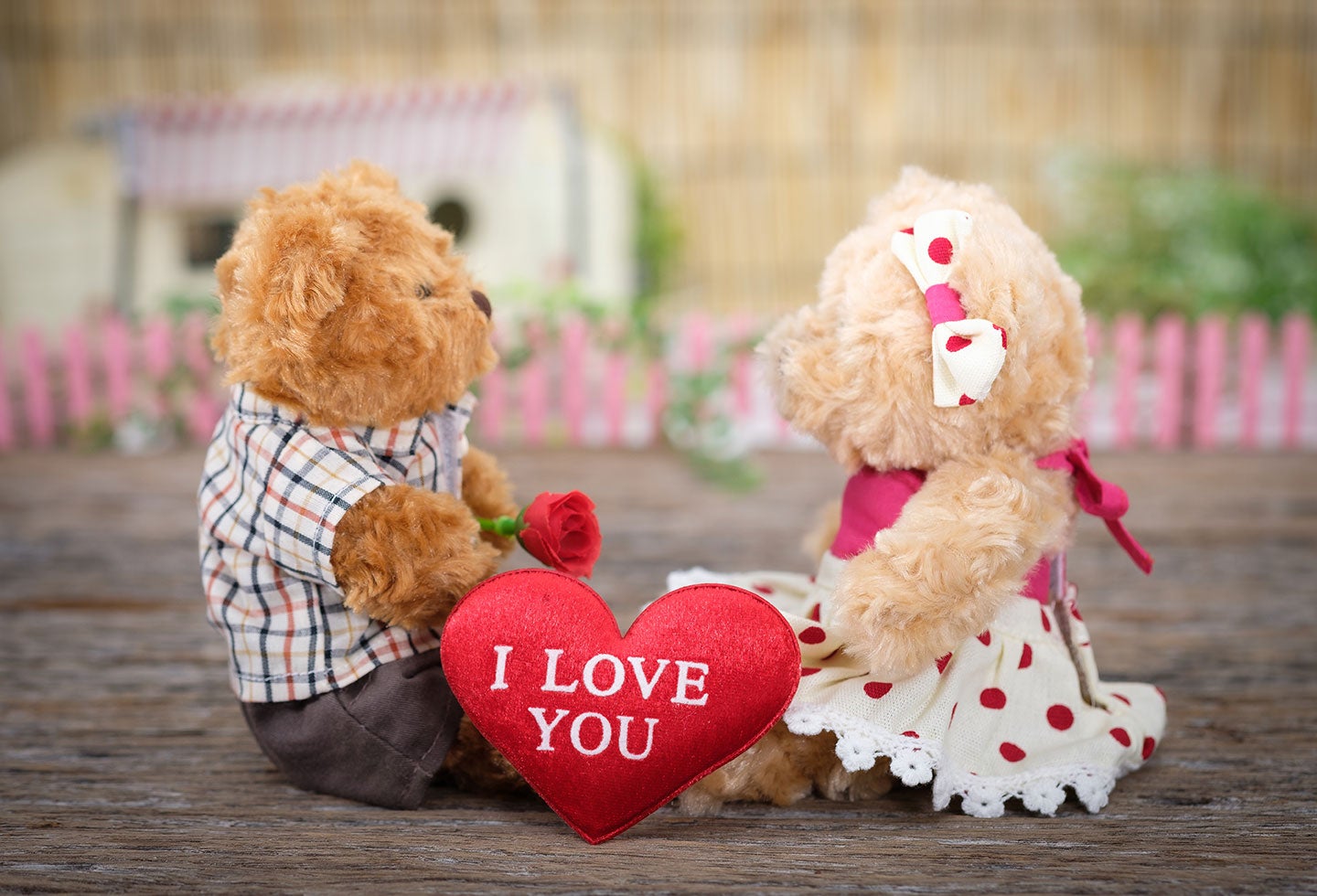Peluches en amor y amistad Regalos de amor y amistad