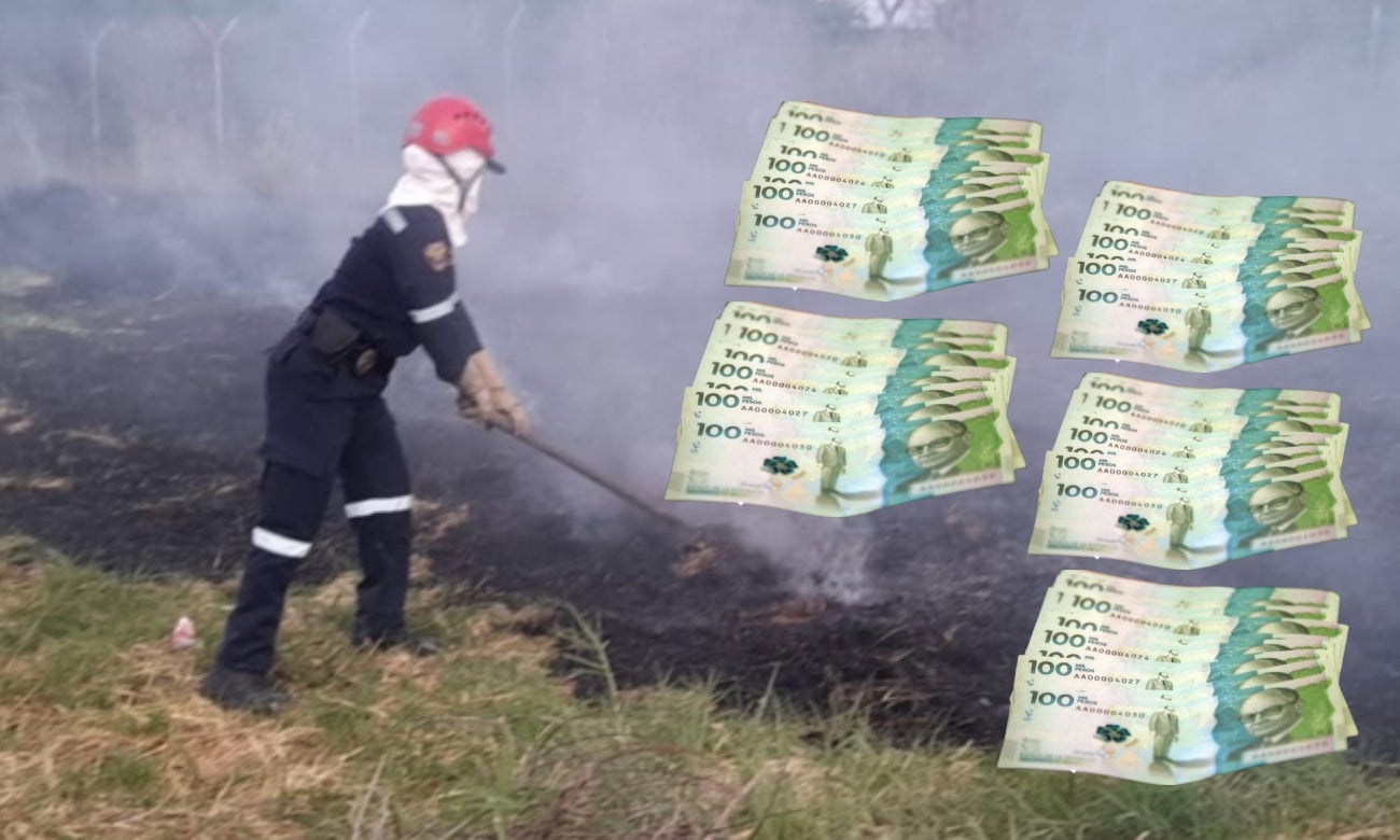 Dinero que vale recuperar cada hectárea quemada en los incendios 