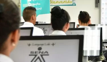 sena sofia plus