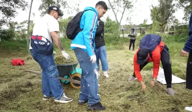Los infractores cambian multas por limpieza y siembra de árboles